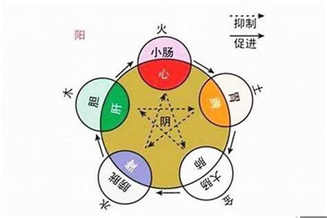 警察五行|公安机关在五行中属什么